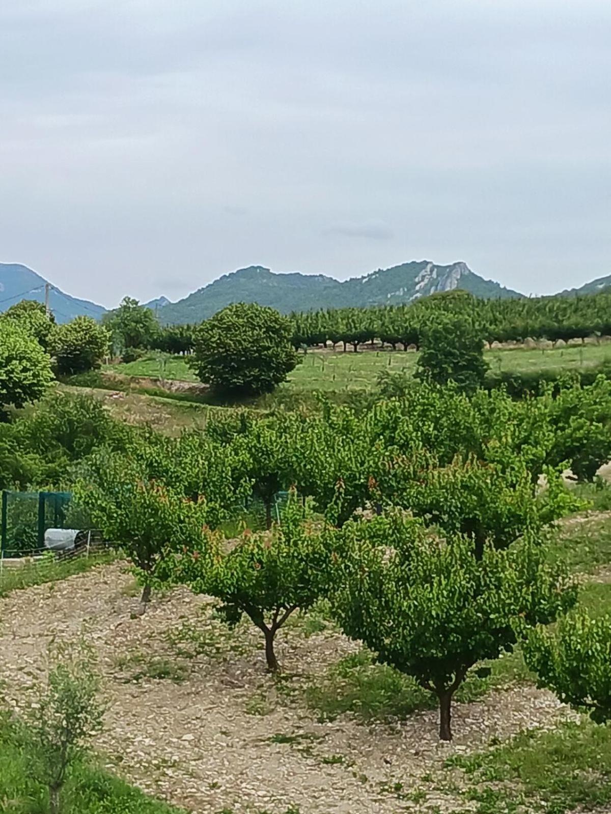 Gite Les Trois Abeilles Bésignan エクステリア 写真